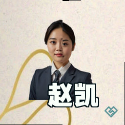 赵凯