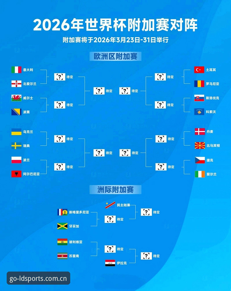世界杯观赛签证危机应对教程：在LD体育平台解读赛事入场难题